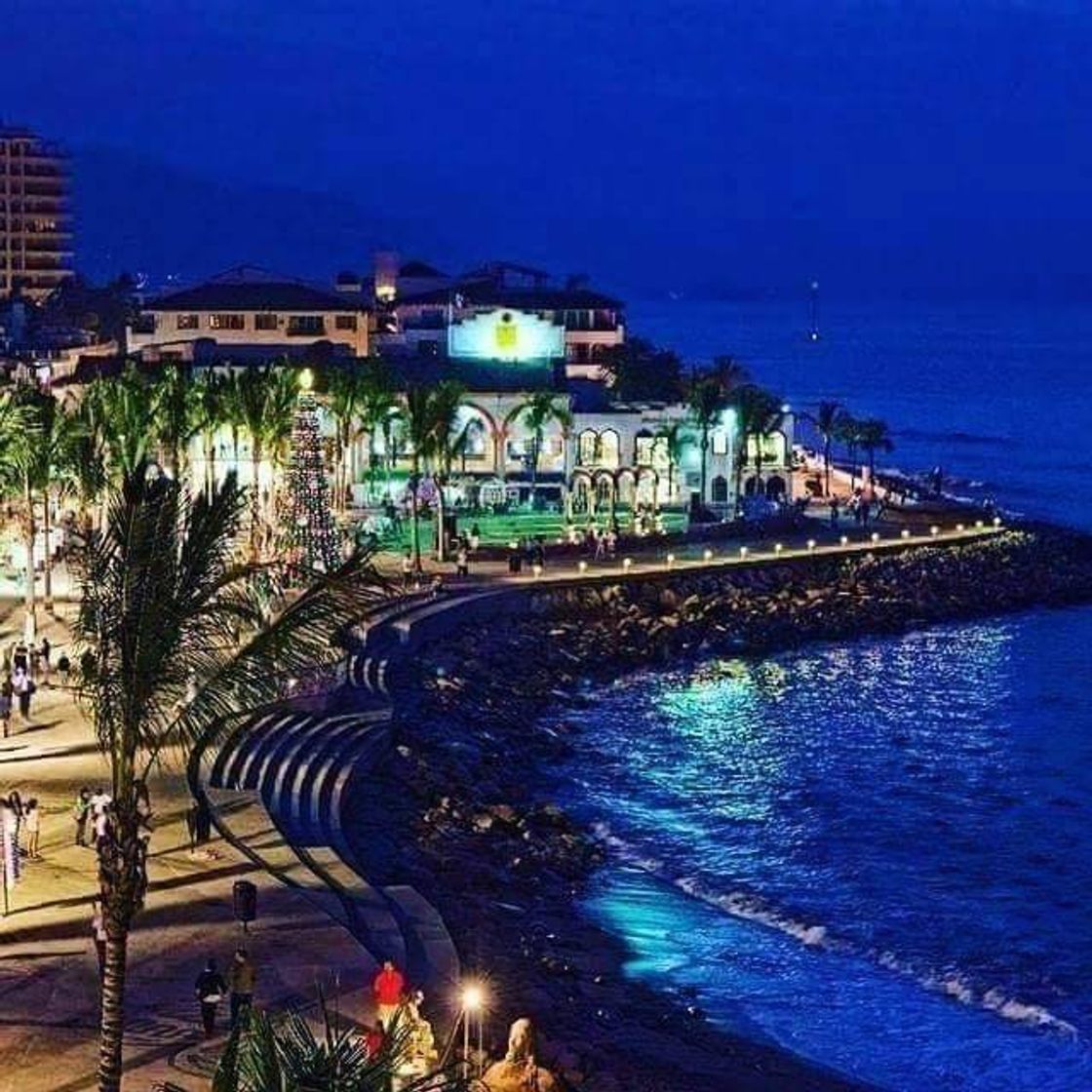 Lugar Malecon Puerto Vallarta