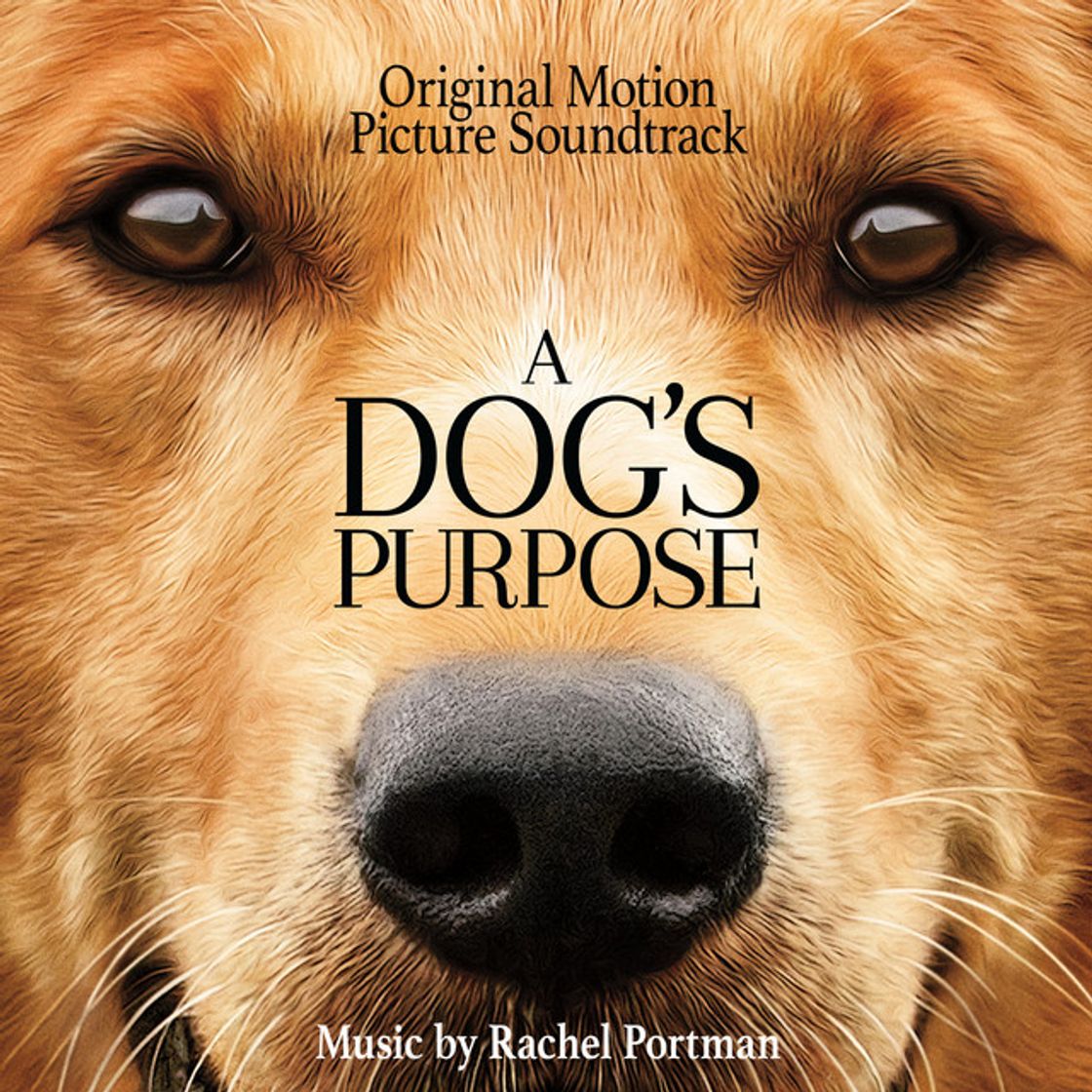 Canción A Dog's Purpose