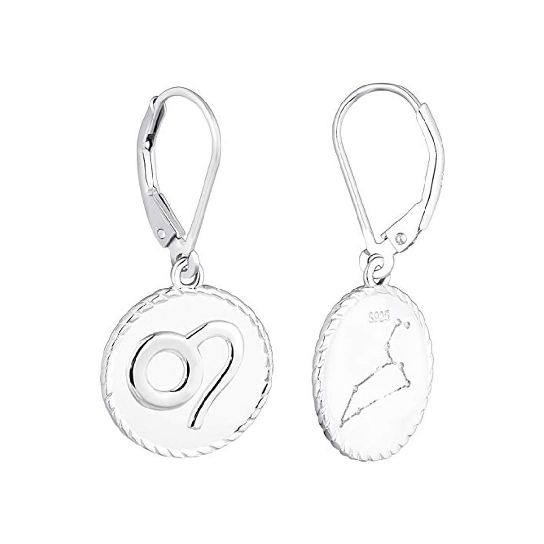 Products YL Pendientes colgantes Leo de plata925 Pendientes colgantes Constellation para mujer y niña Horóscopo del zodiaco 12