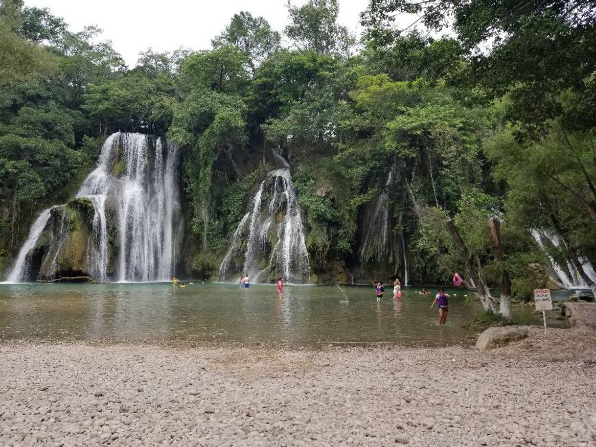 Place Cascadas de Tamasopo