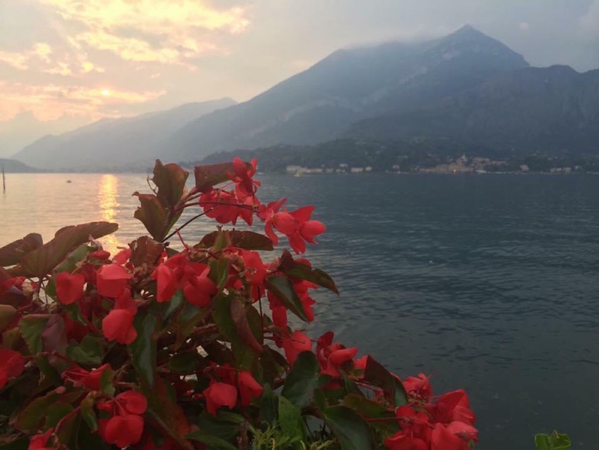 Place Lago di Como