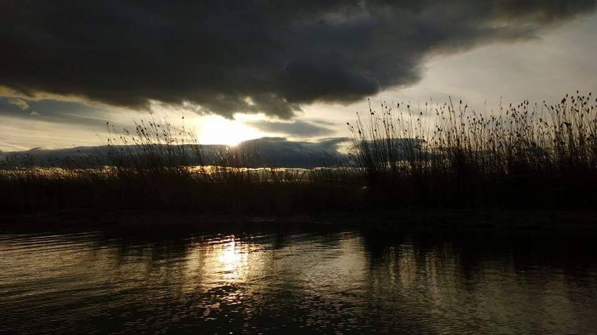 Lugar Parc Natural De l'Albufera