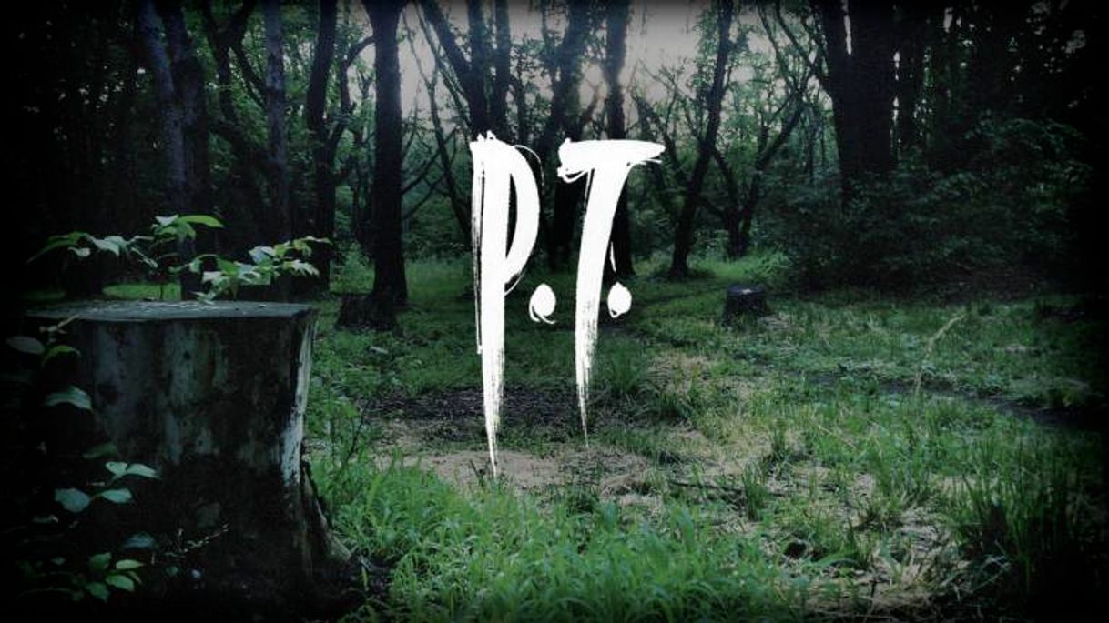 Videojuegos P.T.