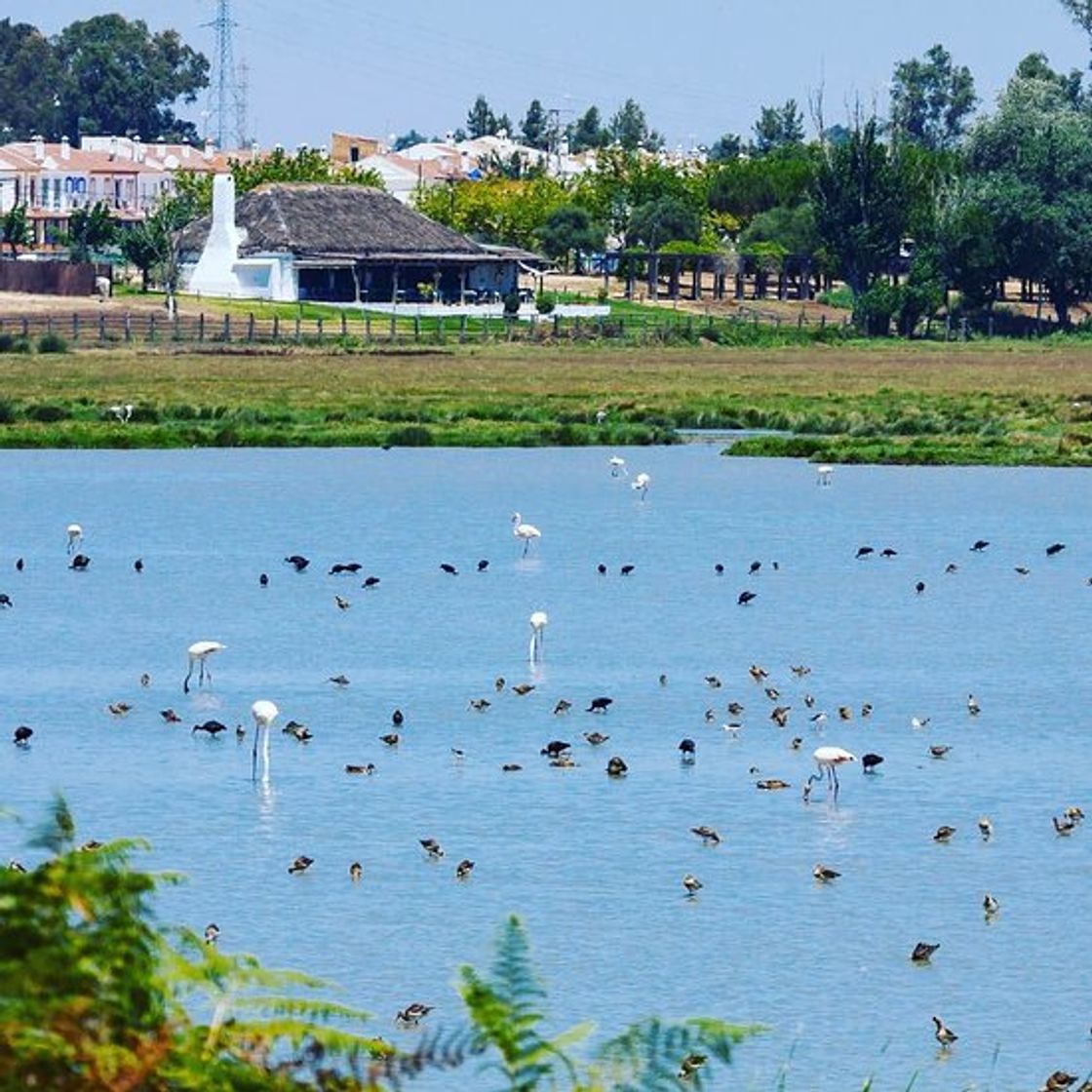 Restaurantes Aires De Doñana Sociedad Limitada