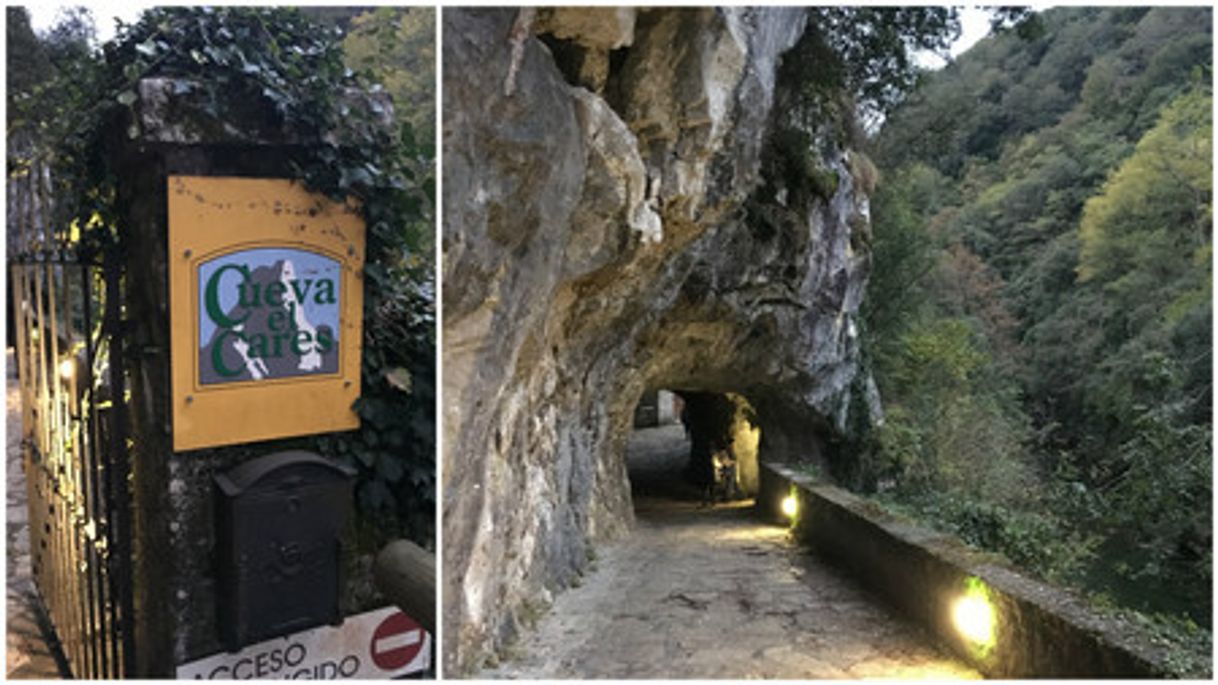 Place Cueva - Exposicion del Queso Cabrales