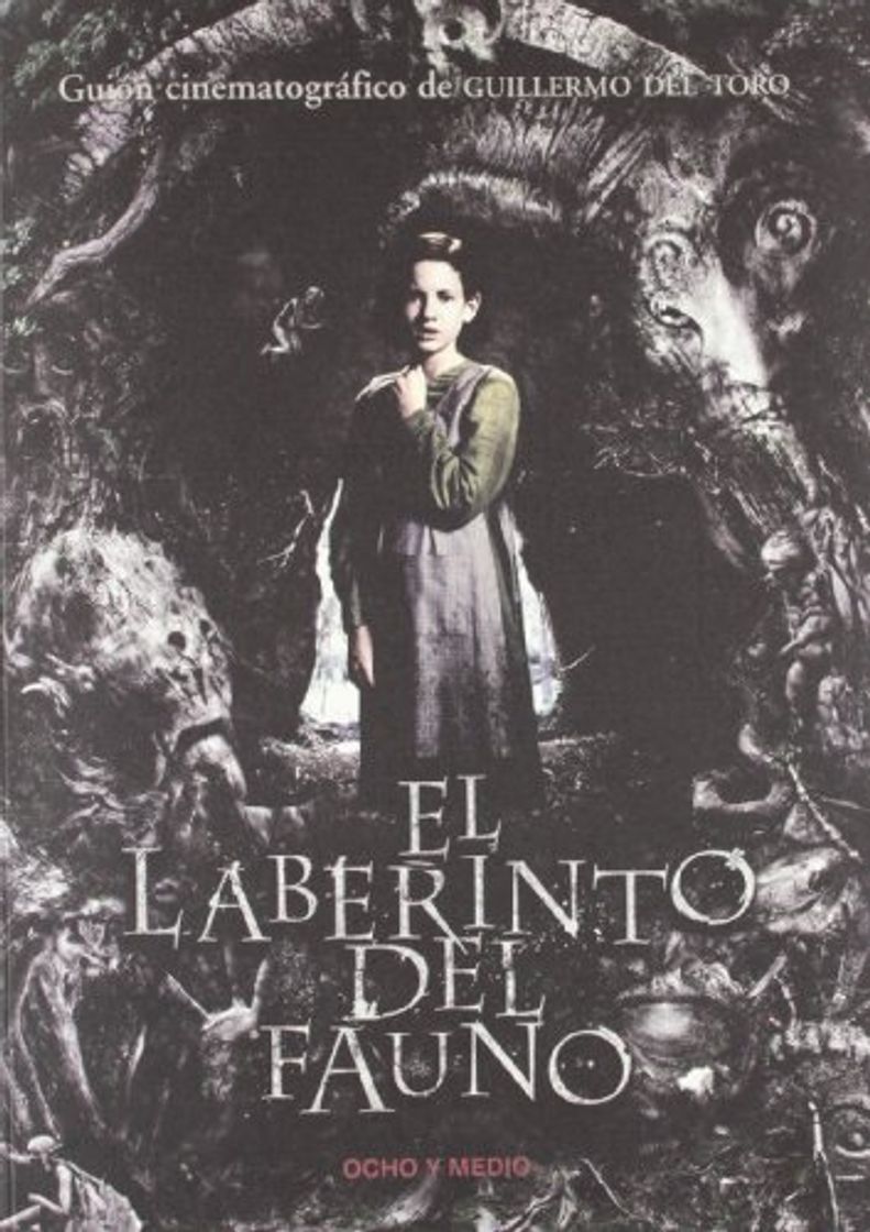 Book Laberinto Del Fauno,El