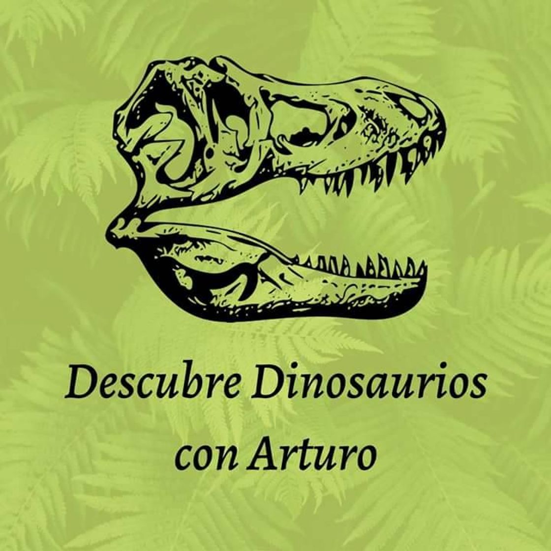 Moda Descubre Dinosaurios con Arturo - Home | Facebook