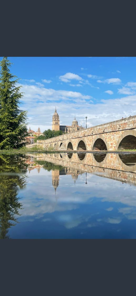 Lugar Puente Romano