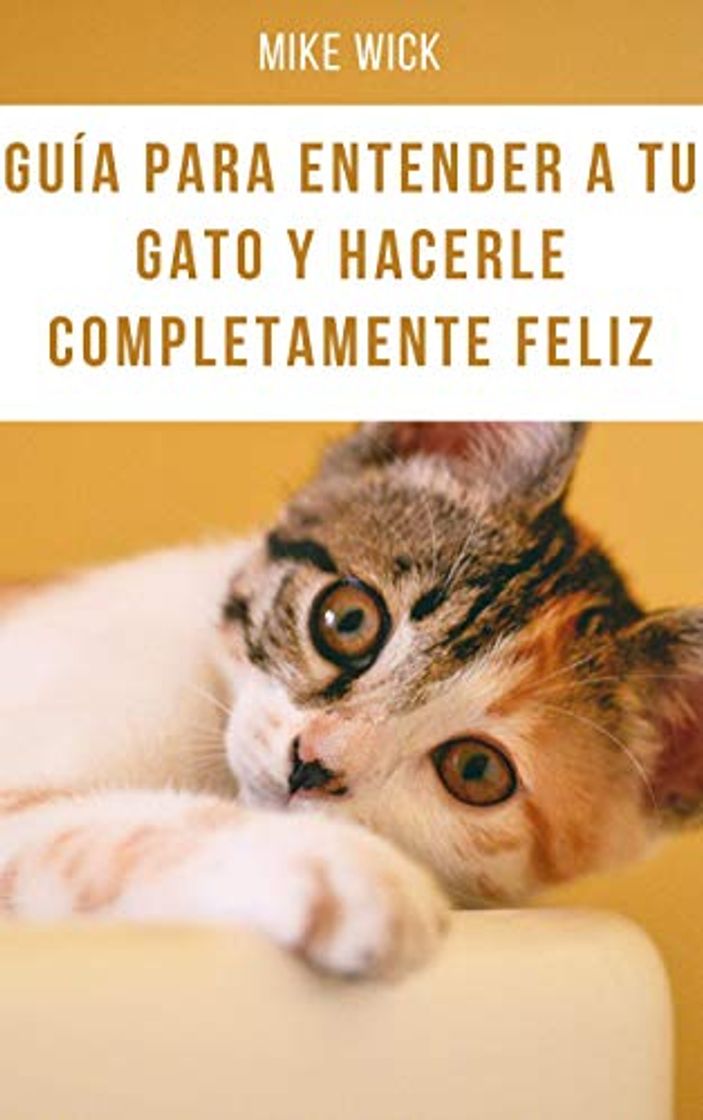 Libro Guía para entender a tu gato y hacerle completamente feliz