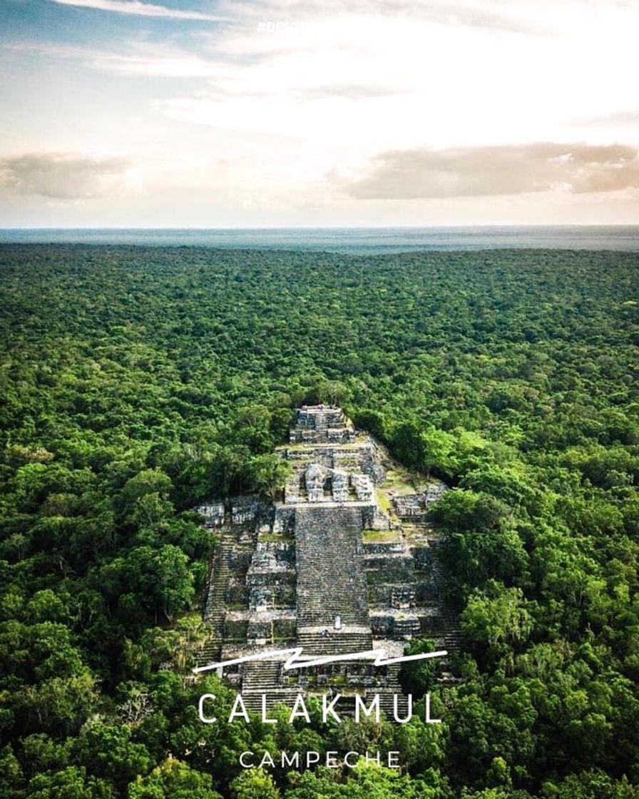 Place Calakmul