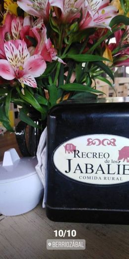 El Recreo de los Jabalíes