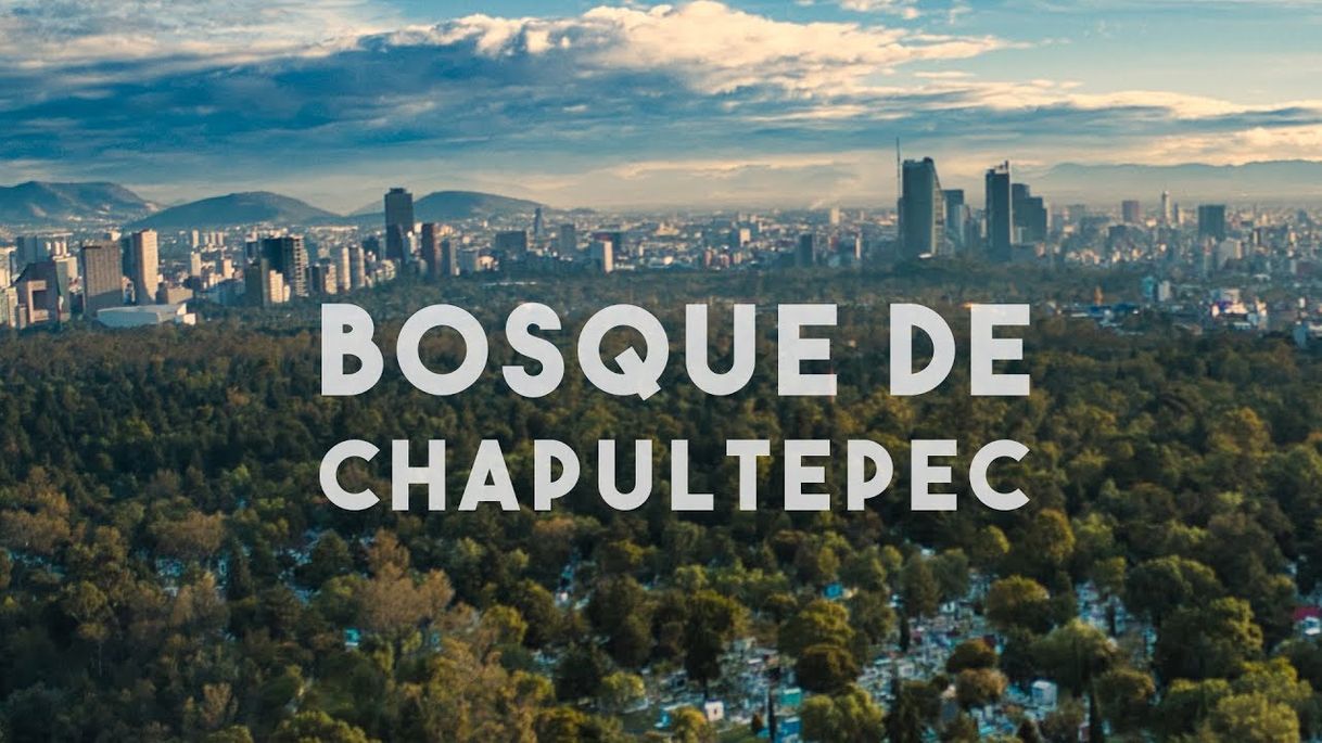 Bosque de Chapultepec
