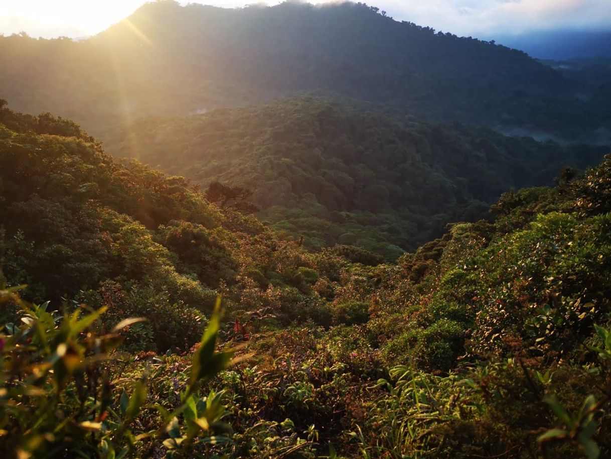 Lugar Cerro Amigos