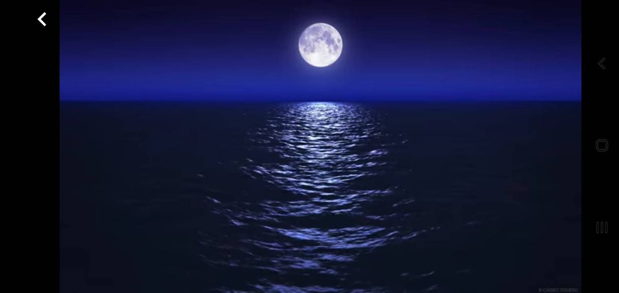 Social Sleep Music With Ocean and Jungle Sounds – Relaxing Blue ...