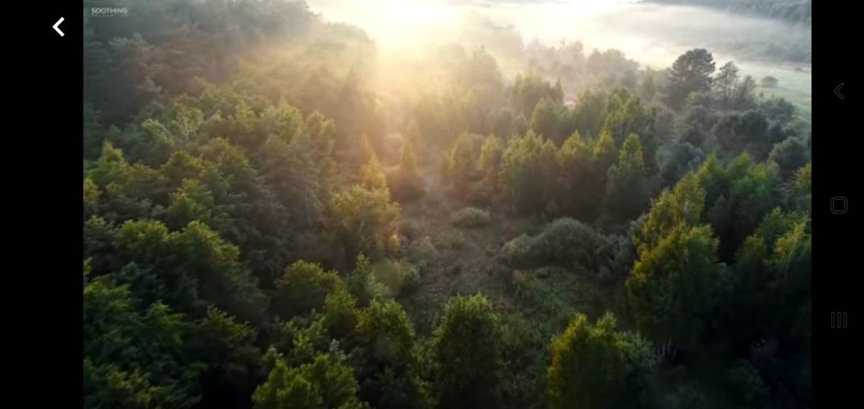 Social Beautiful Relaxing Music • Peaceful Piano Music & Guitar Music ...