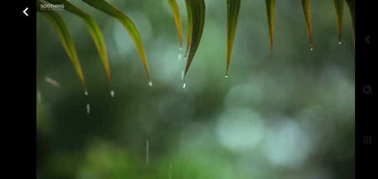 Social Relaxing Music & Soft Rain Sounds: Relaxing Piano Music, Sleep ...