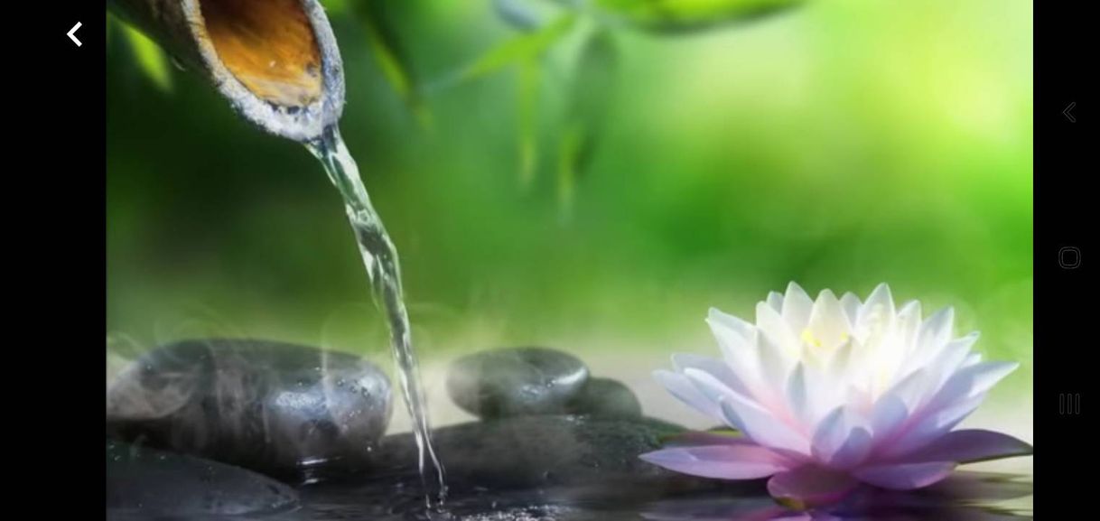 Social Relaxing Piano Music: Sleep Music, Water Sounds, Relaxing Music ...