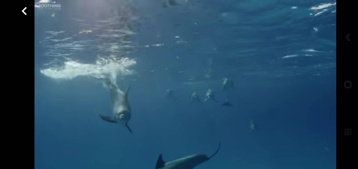 Social Sleep Music in Underwater Paradise: Deep Relaxing Music ...