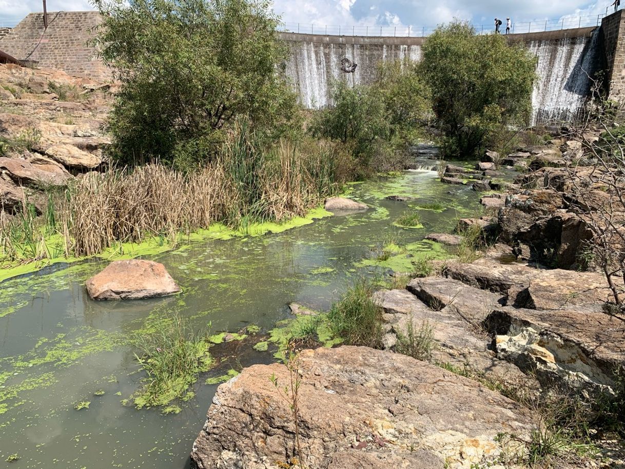 Lugar El Charco del Ingenio Jardín Botánico y Área Natural Protegida