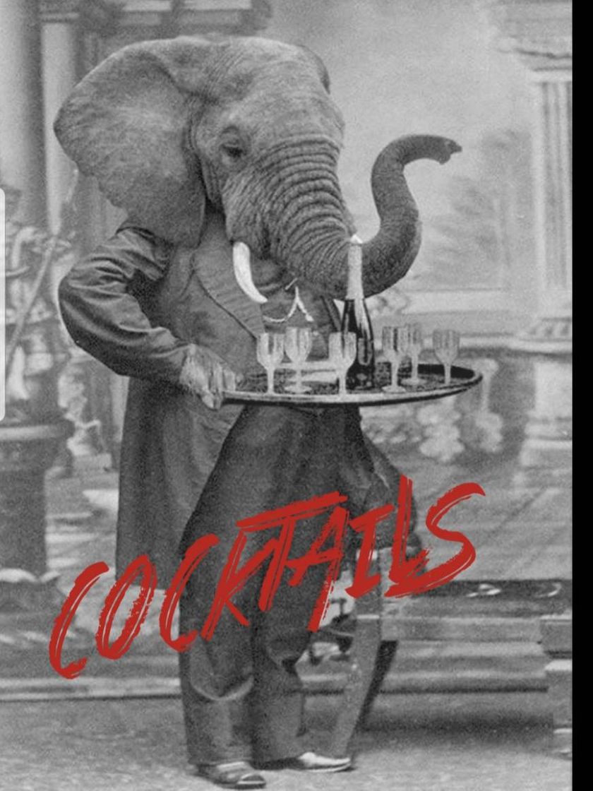 Restaurants Daddy Cool