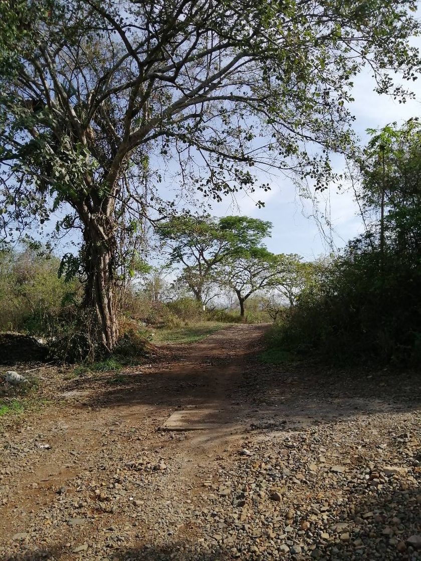 Lugar Calle Cañada