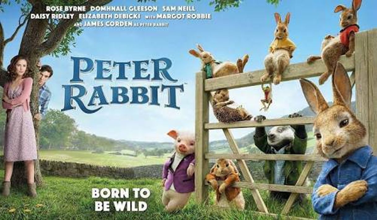 Fashion Peter Rabbit - Peter's Dangerous Moments - YouTube