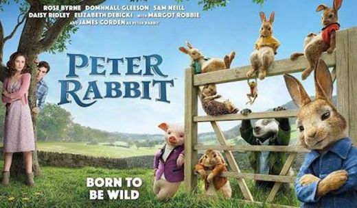Peter Rabbit - Peter's Dangerous Moments - YouTube