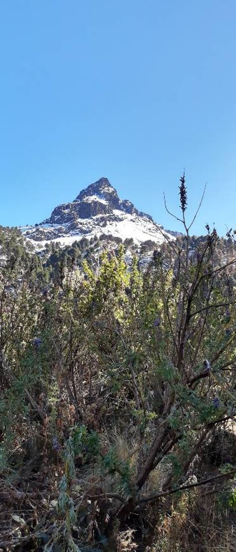 Place Nevado de Colima