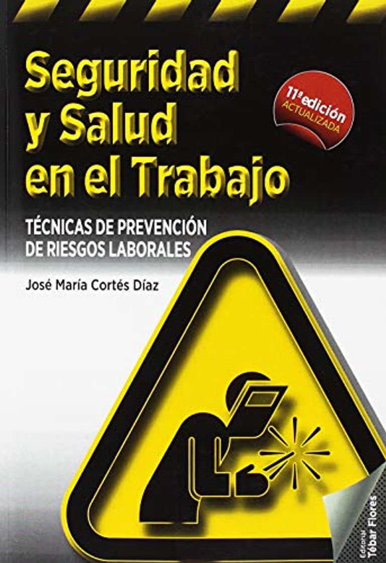 Book Seguridad y salud en el trabajo