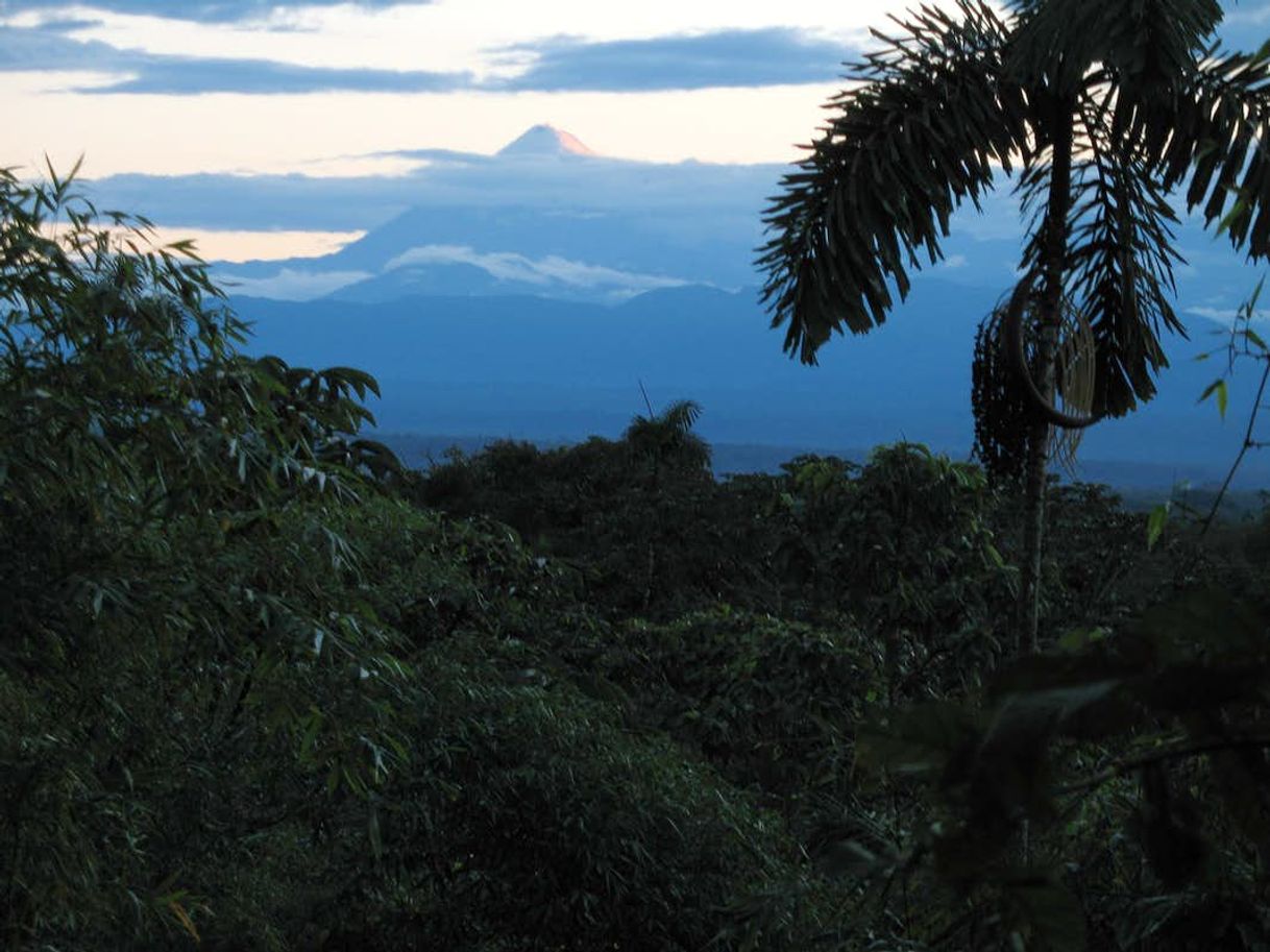 Lugar Parque Nacional Sangay