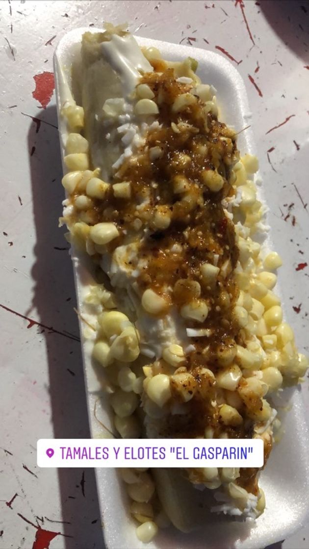 Moda Tamales y elotes el gasparin