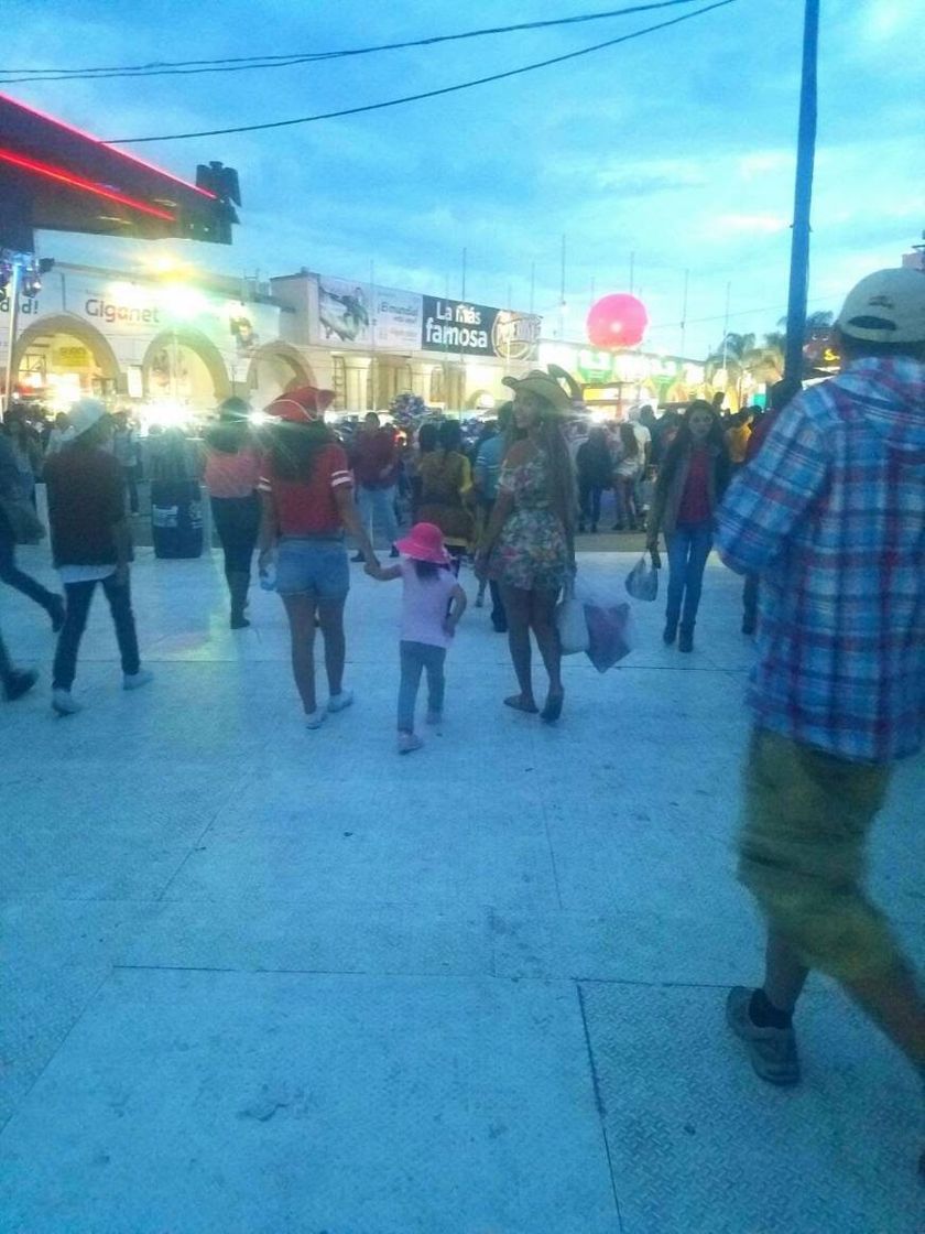 Place Paseo De La Feria