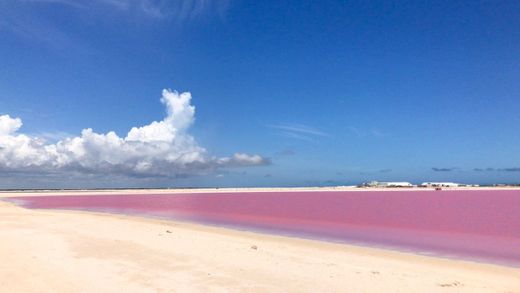 Las Coloradas Yucatan