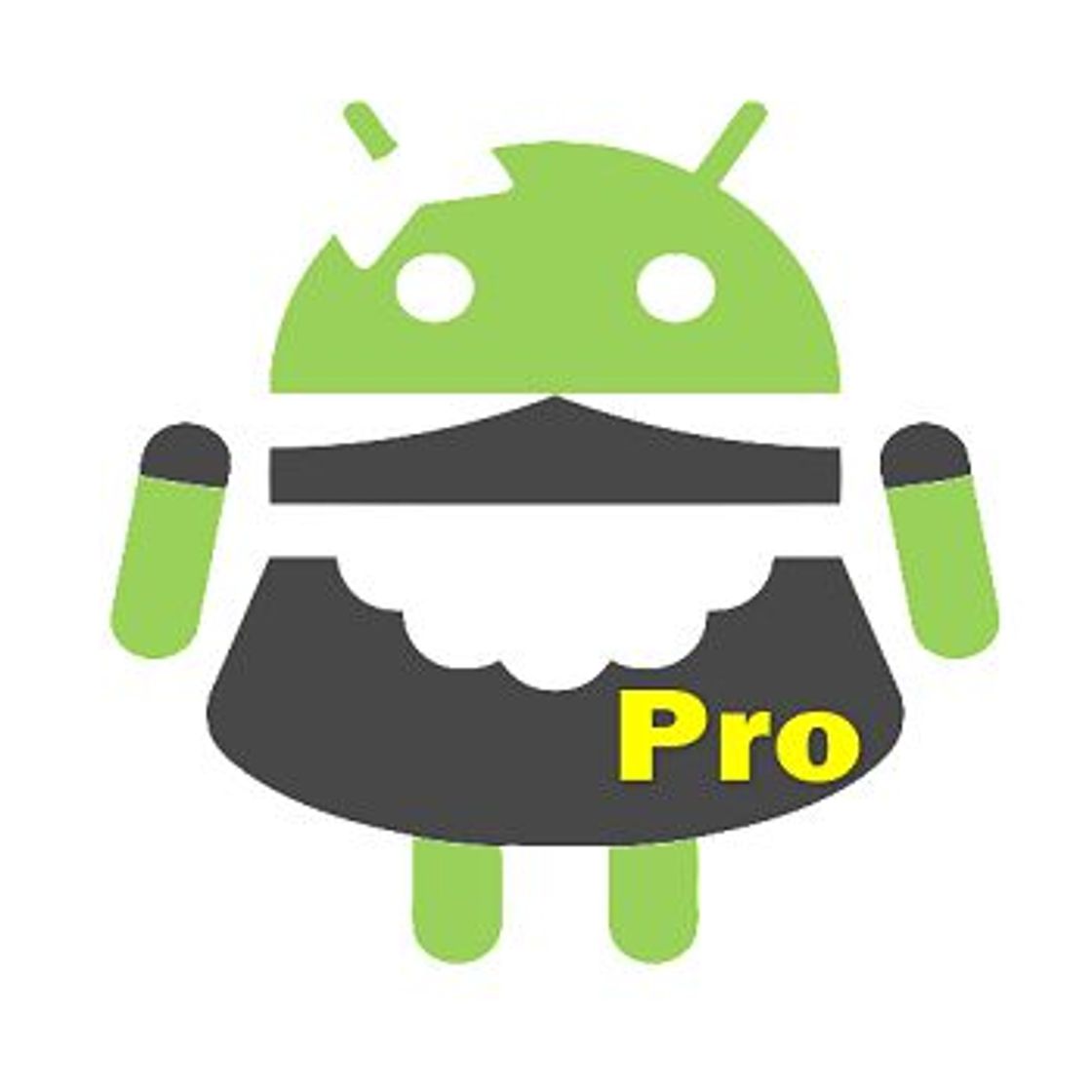 App SD maid PRO 