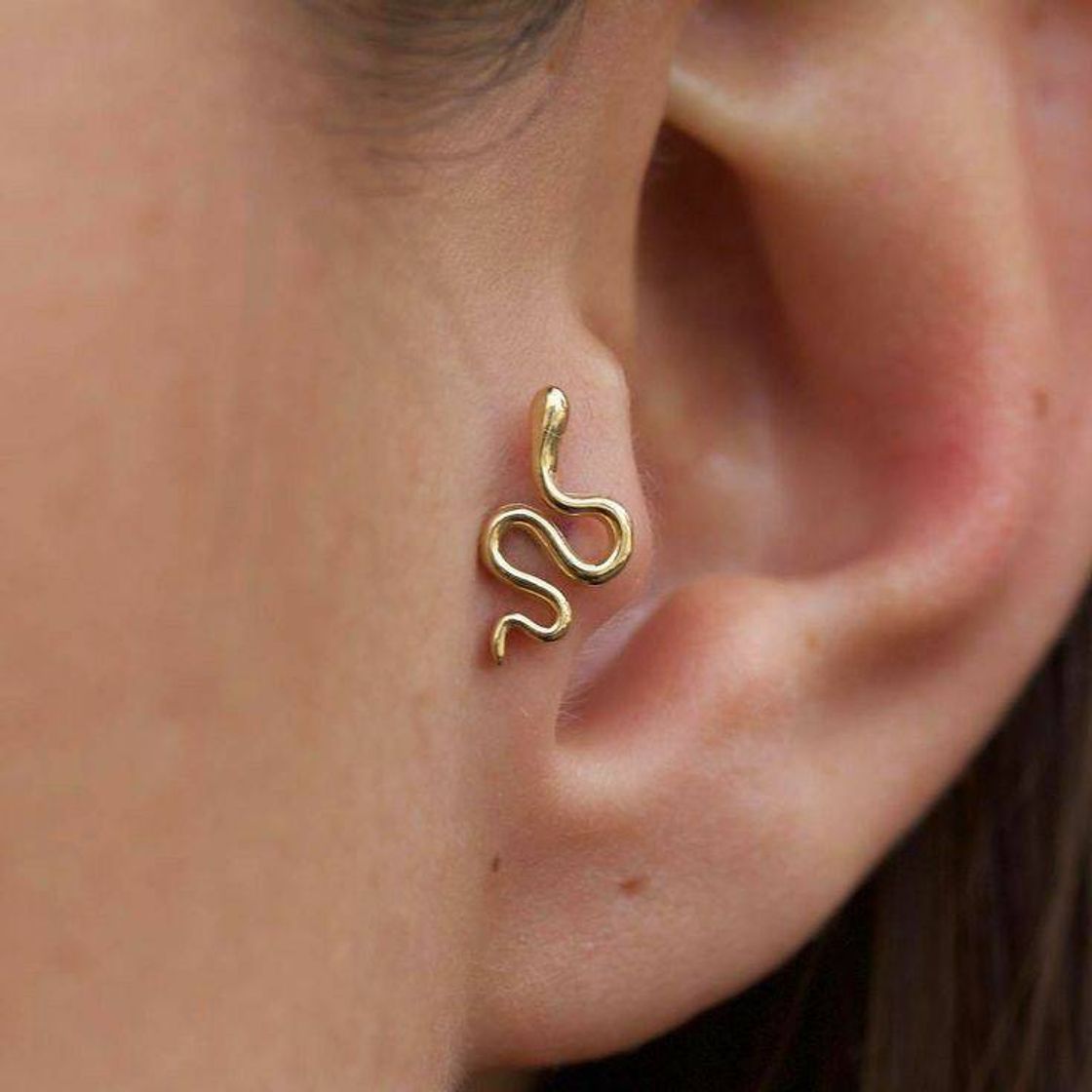 Moda 🐍tragus