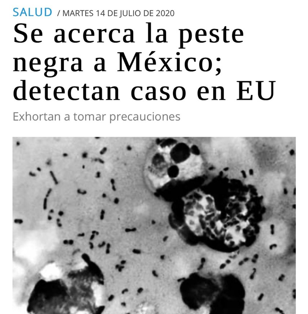 Moda ¿Peste negra en México? 