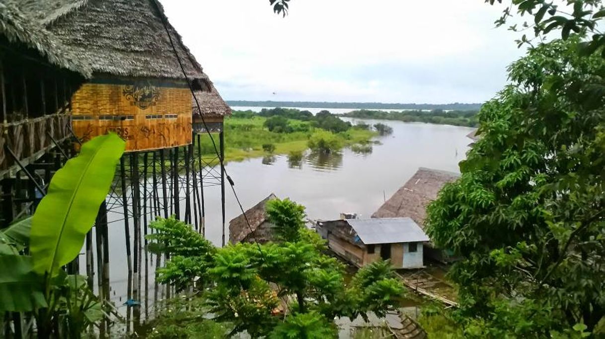 Place Iquitos