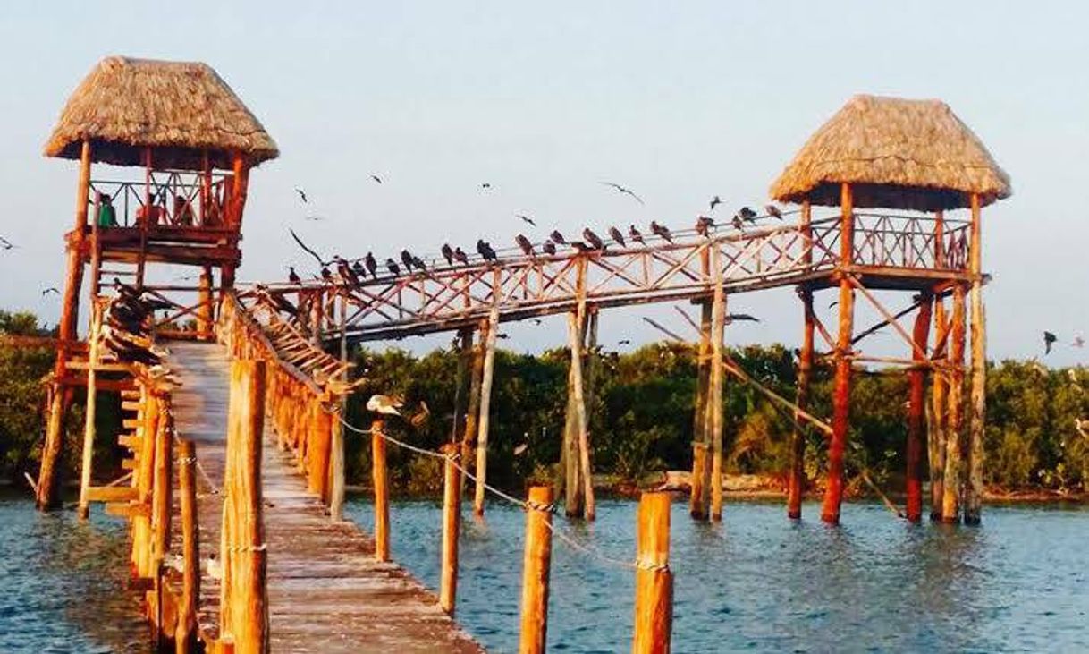 Lugar Isla Pajaros