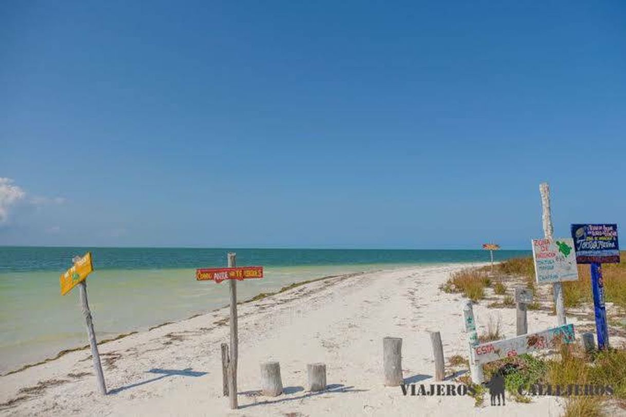 Lugar ISLA Holbox