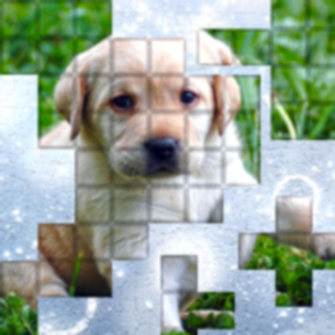 App PicPu - Dog Picture Puzzle