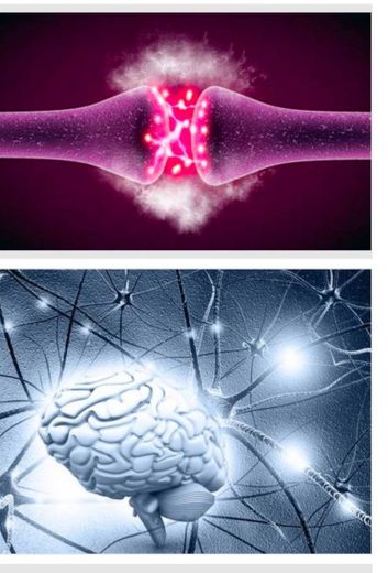 Creando nuevas neuronas con la NEUROGÉNESIS - YouTube