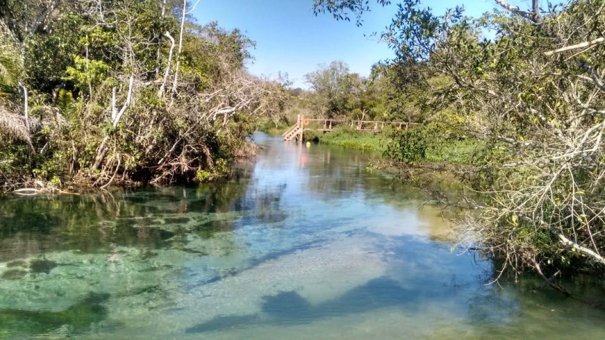 Lugar Rio Sucuri Ecoturismo Bonito MS