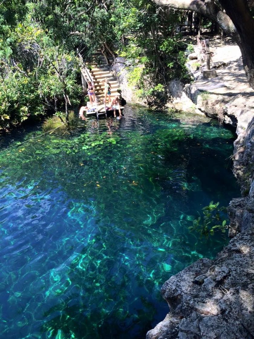 Lugar Jardin Del Eden Cenote