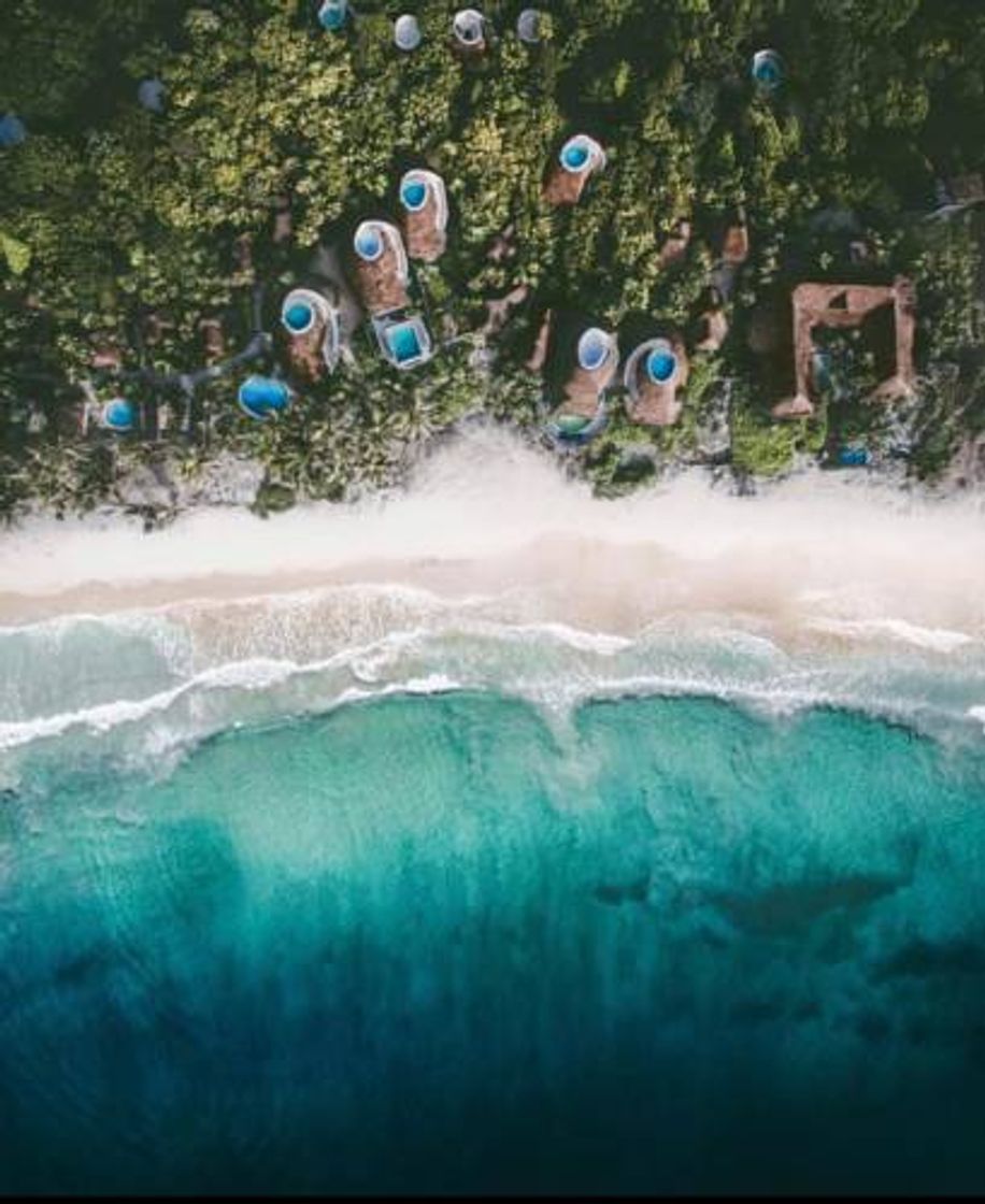 Place Papaya Playa Project