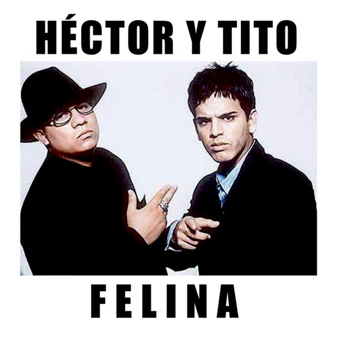 Canción Felina