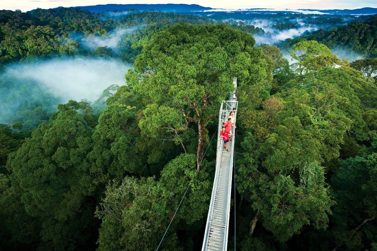 Lugar Monteverde