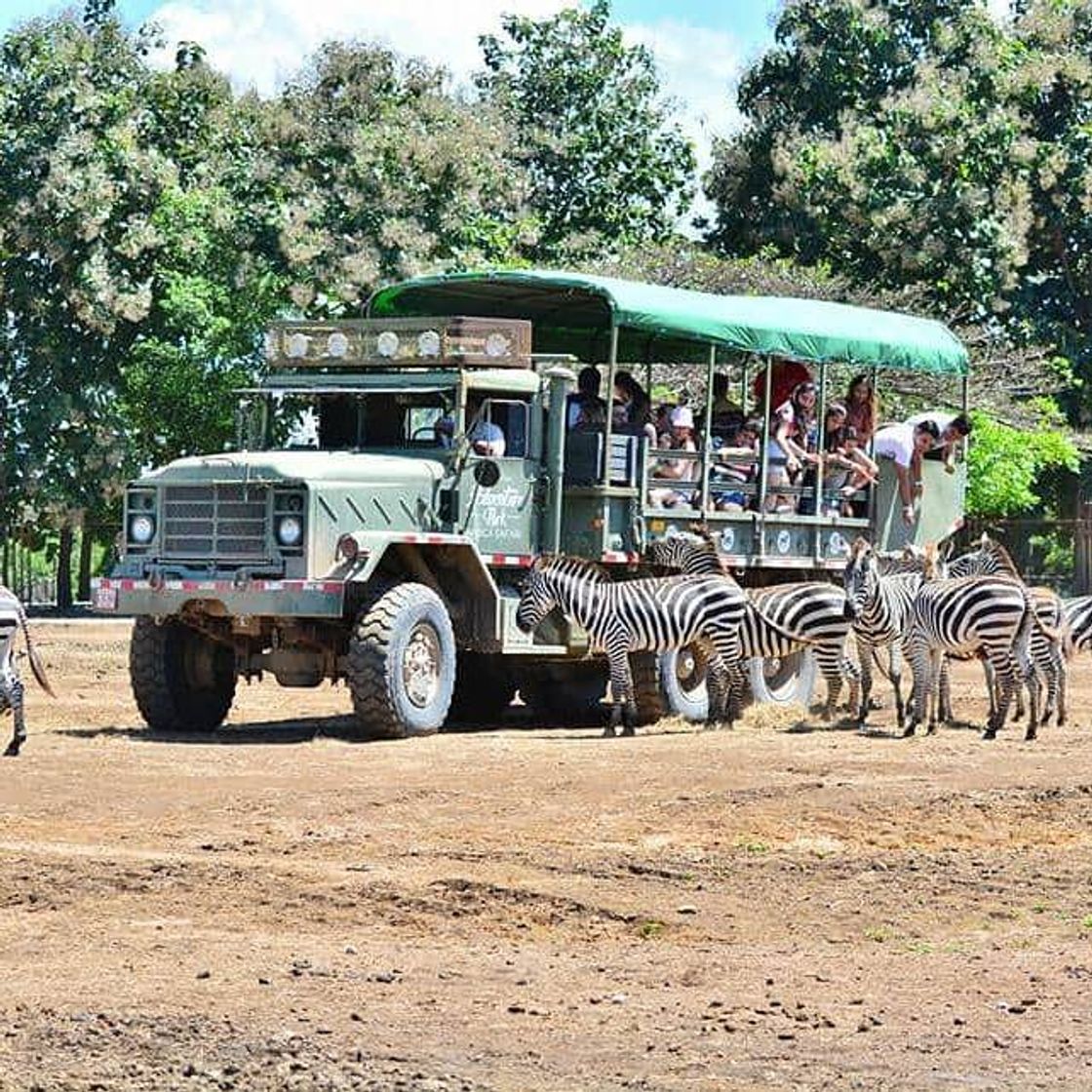 Lugar África Safari Costa Rica