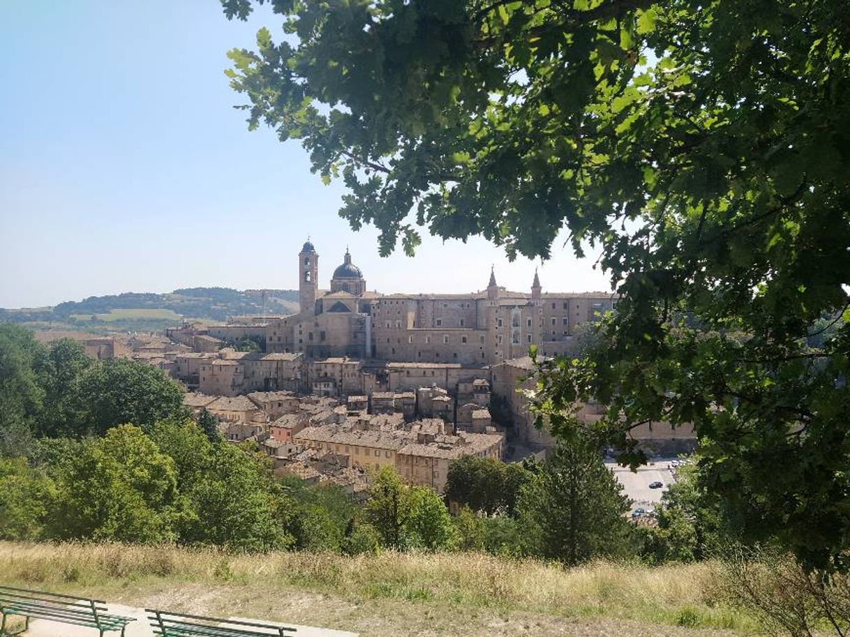 Lugar Urbino