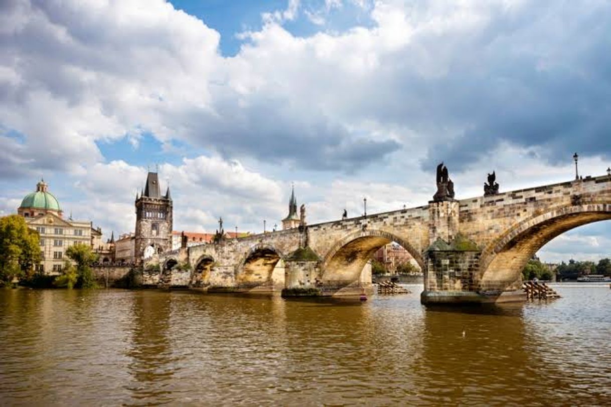 Place Charles Bridge