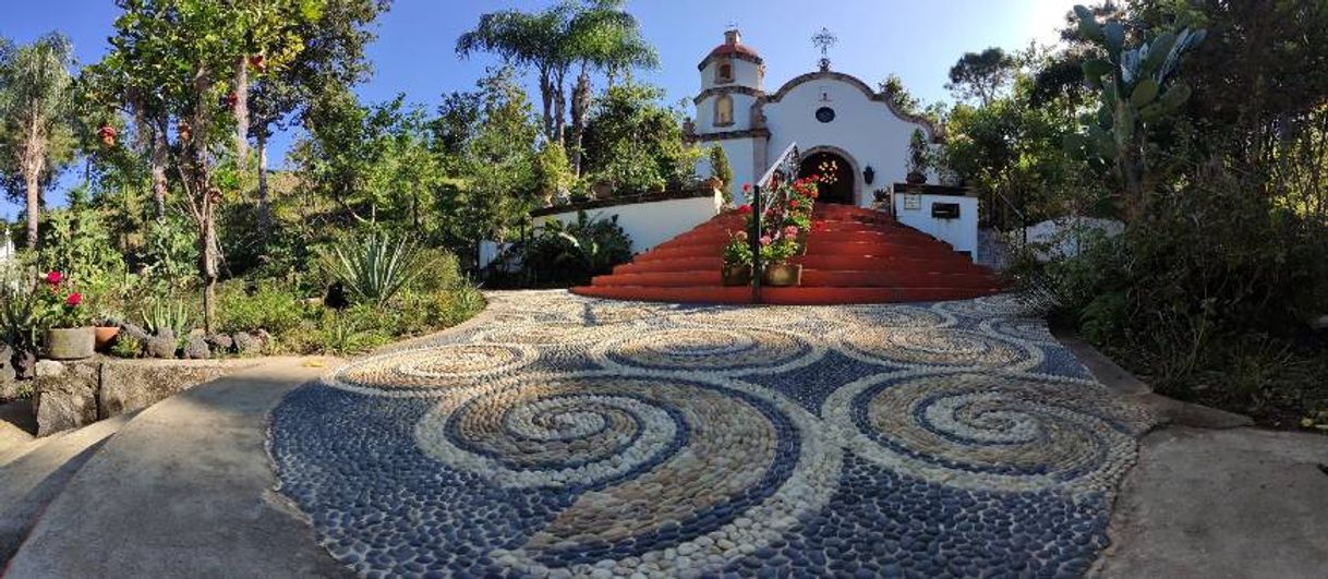 Place Vallarta Botanical Garden